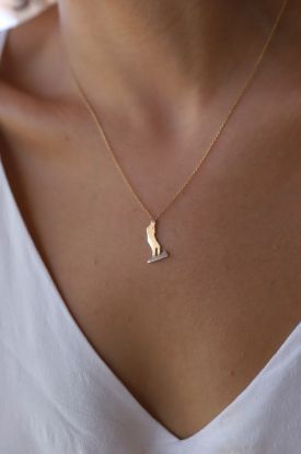 Atatürk Altın Kolye resmi