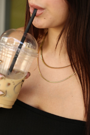 Balık Sırtı Zincir resmi