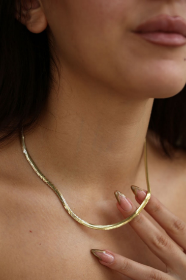 Balık Sırtı Zincir resmi