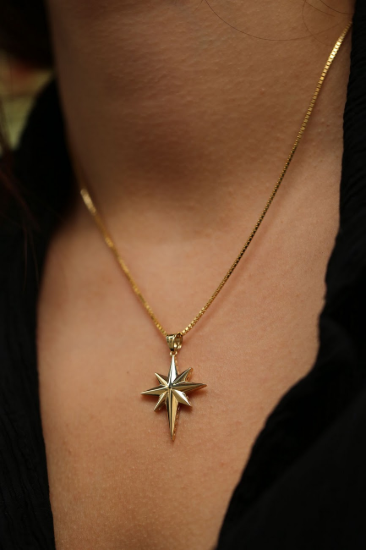 Kuzey Yıldızı Altın Kolye resmi